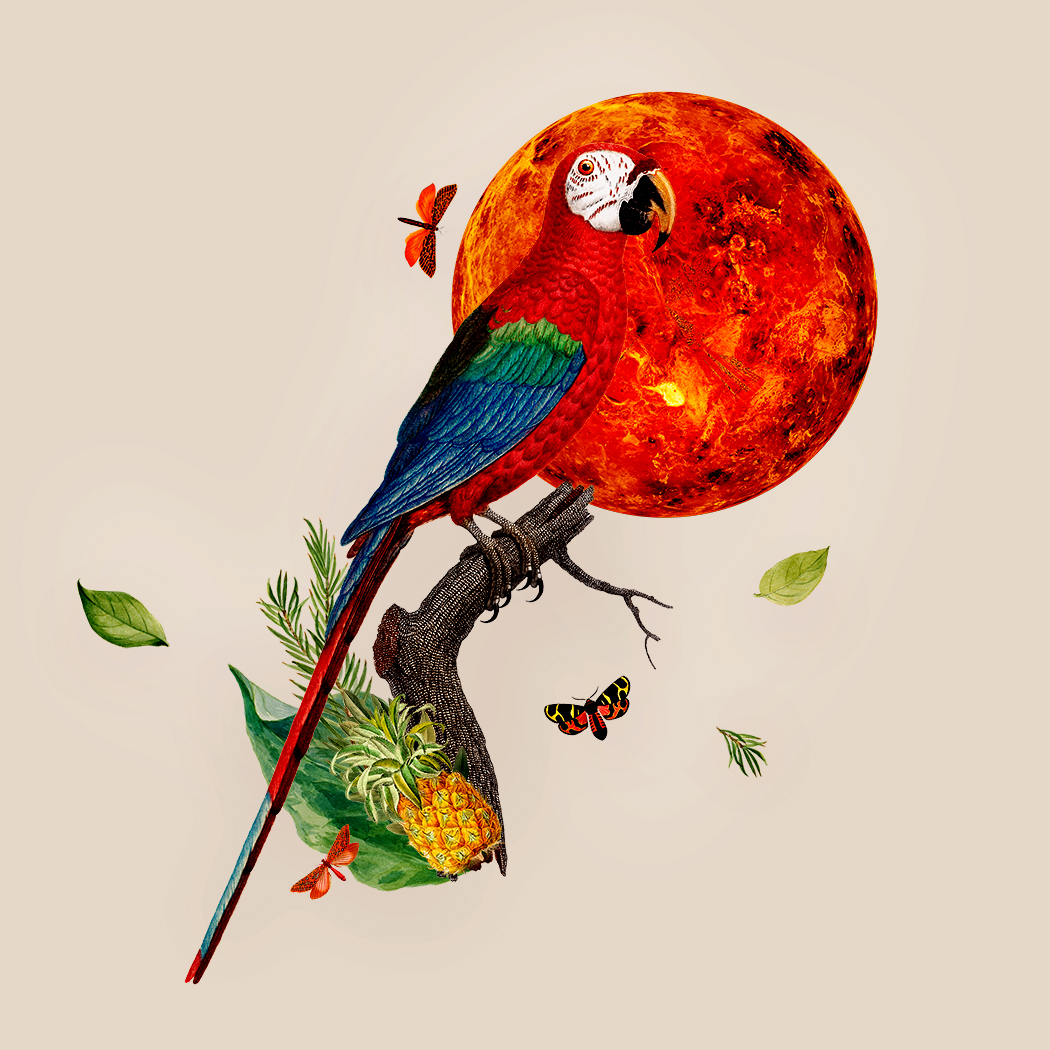 La luna